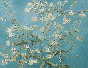 Vincent Van Gogh Almond Blossoms USA oil painting artist